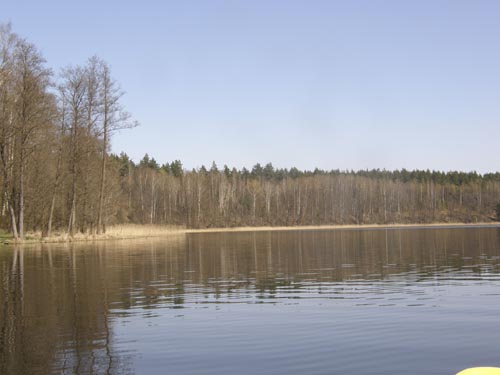 Bolesty09